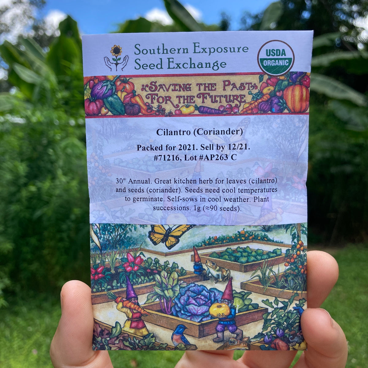 Cilantro Seed Packet
