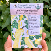 Early Prolific Straightneck Summer Squash Seed Packet