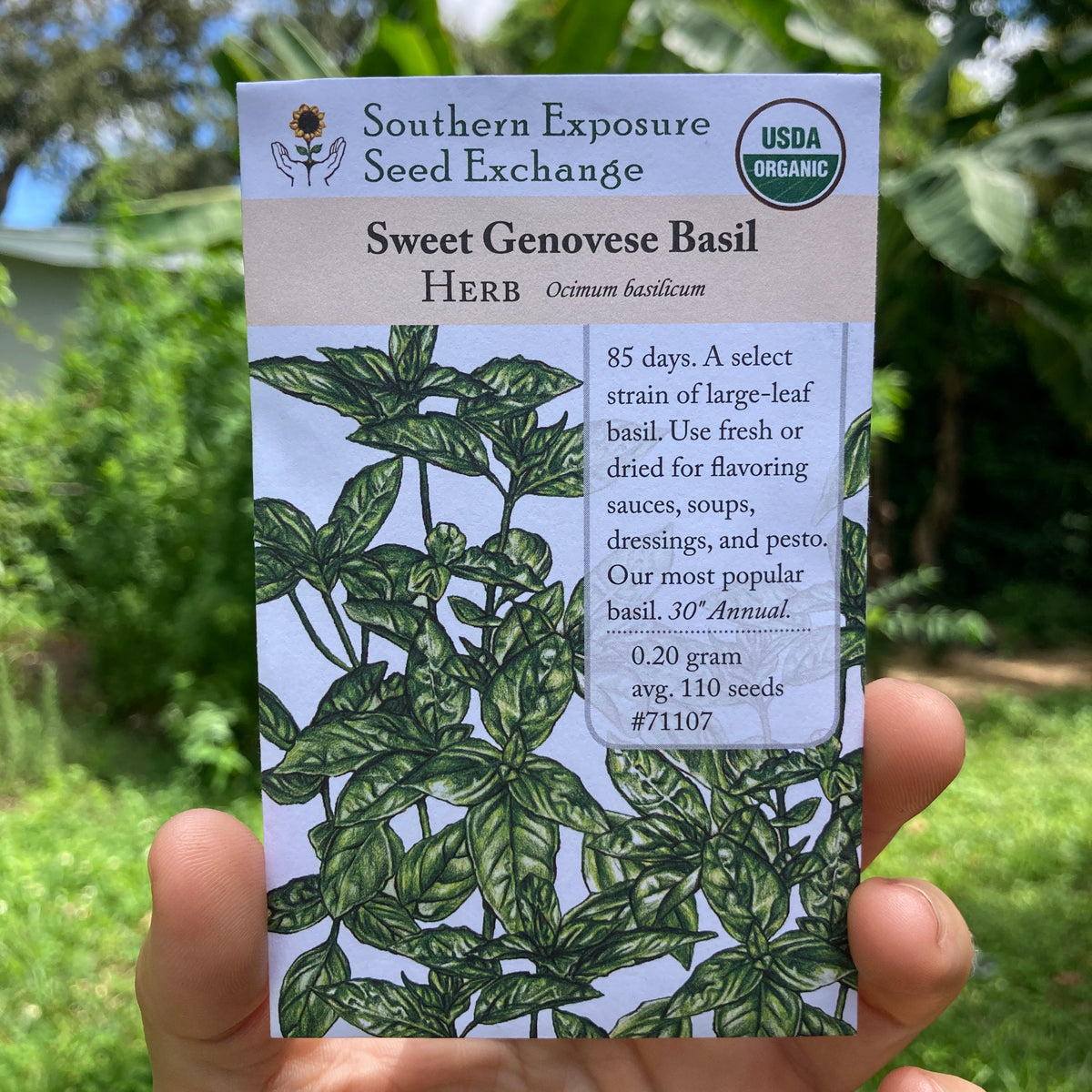 Sweet Genovese Basil Seed Packet