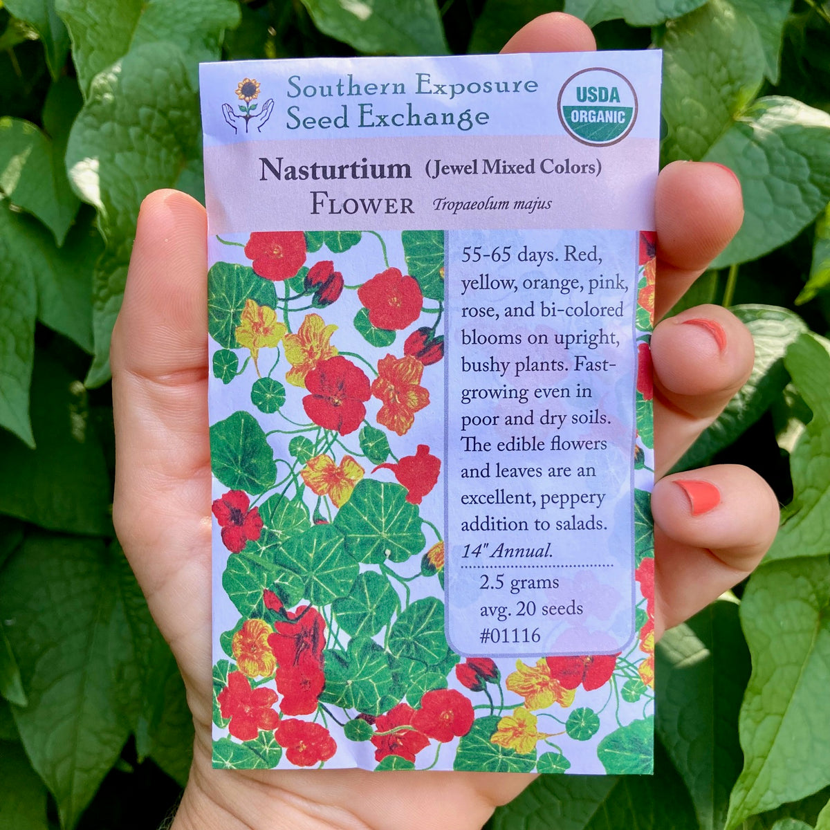 jewel mix Nasturtium Seed Packet