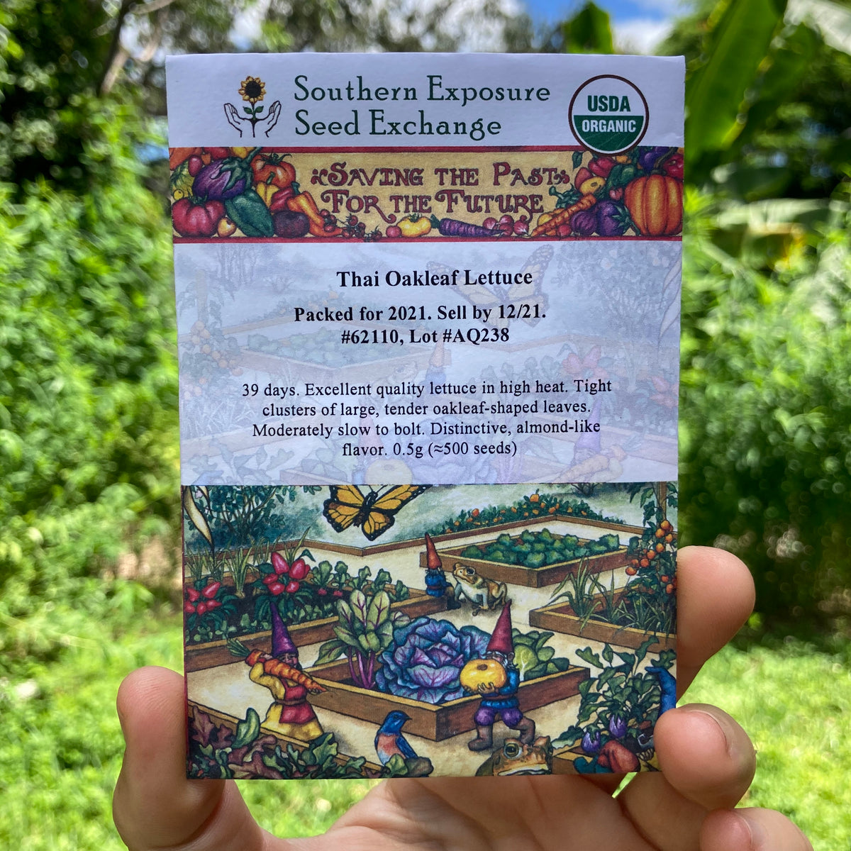 Thai Oakleaf Lettuce Seed Packet
