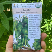 Provider Green Bush Bean Seed Packet