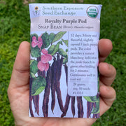 Royalty Purple Bush Bean Seed Packet