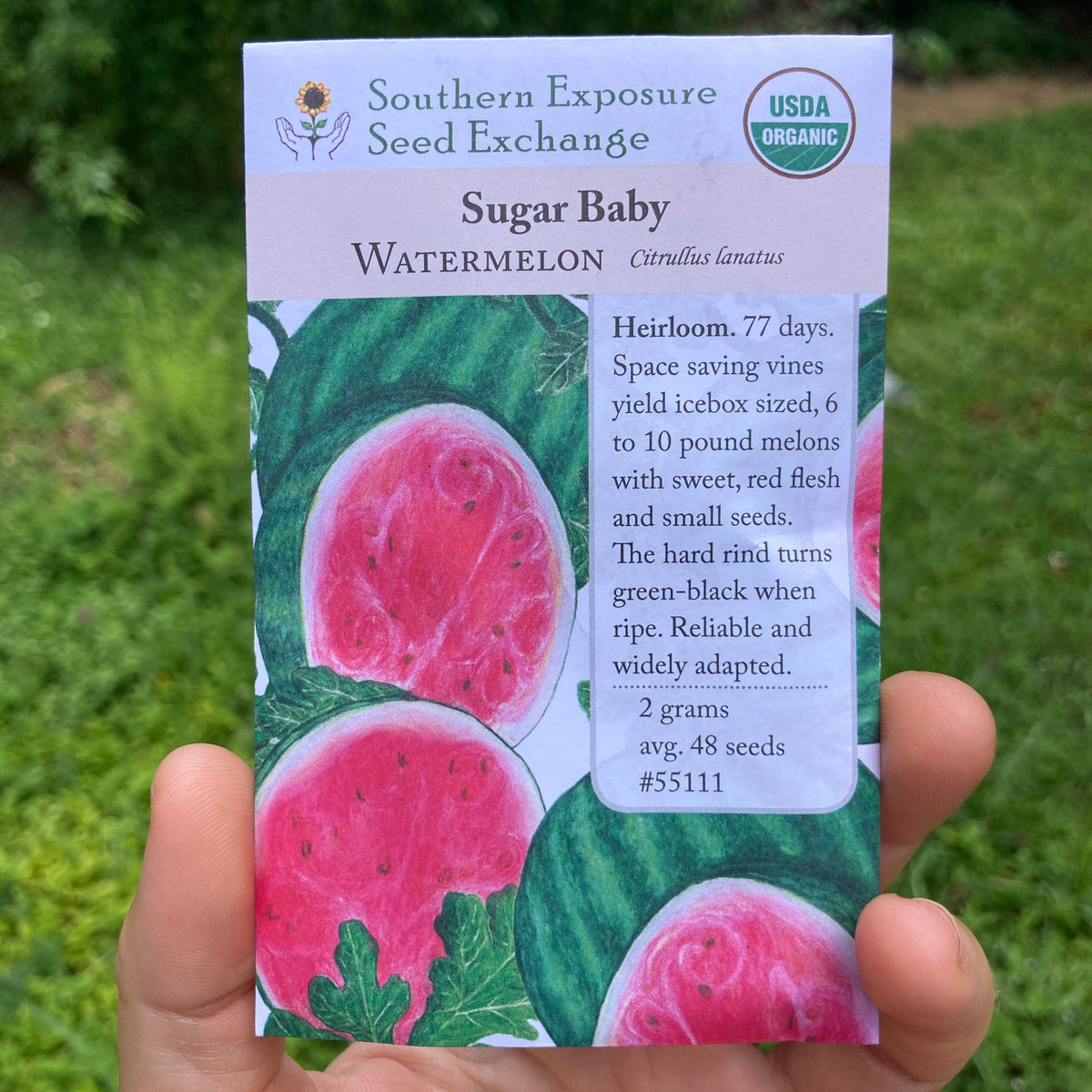 Sugar Baby Watermelon Seed Packet