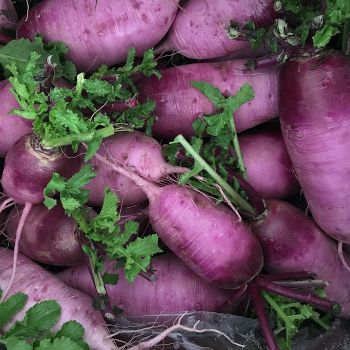 Bora King, Purple Meat Radish Seed Packet