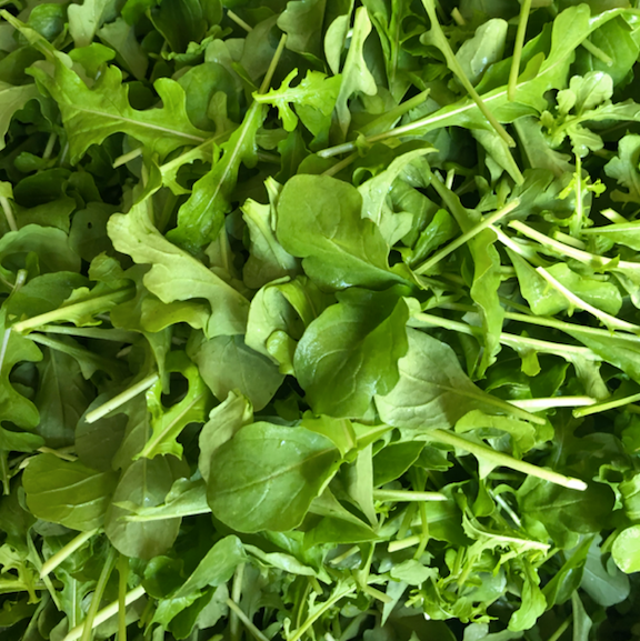 Arugula Seed Packet