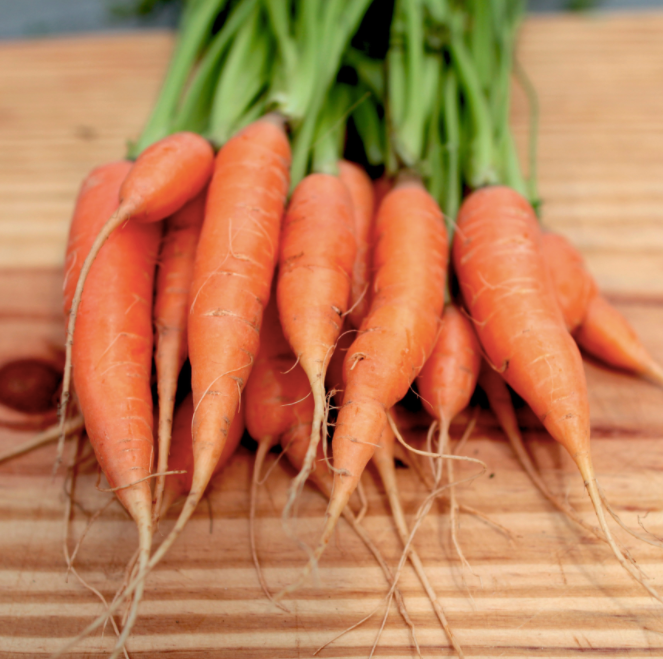 Scarlet Nantes Orange Carrot Seed Packet