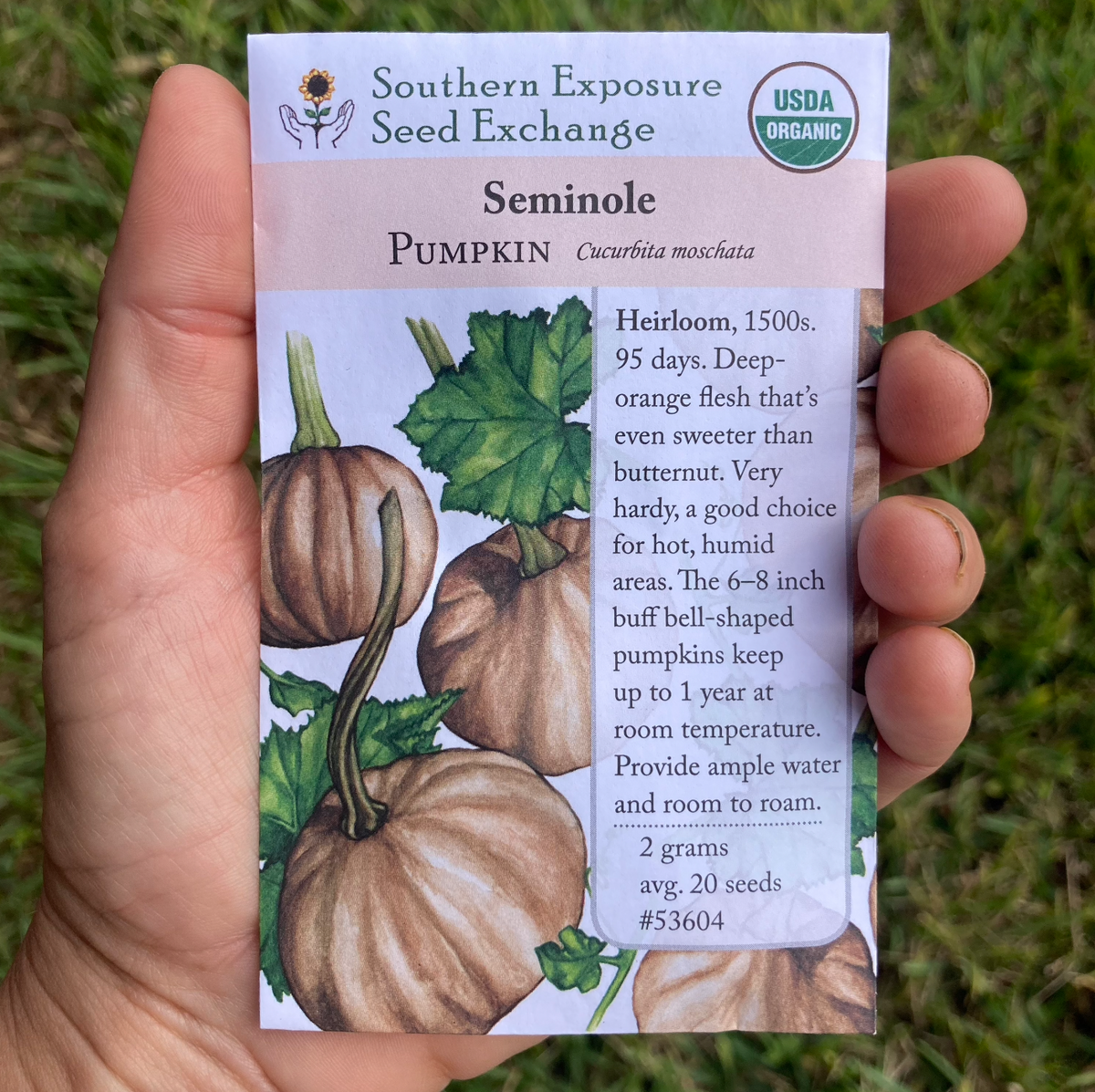 Seminole Pumpkin Seed Packet