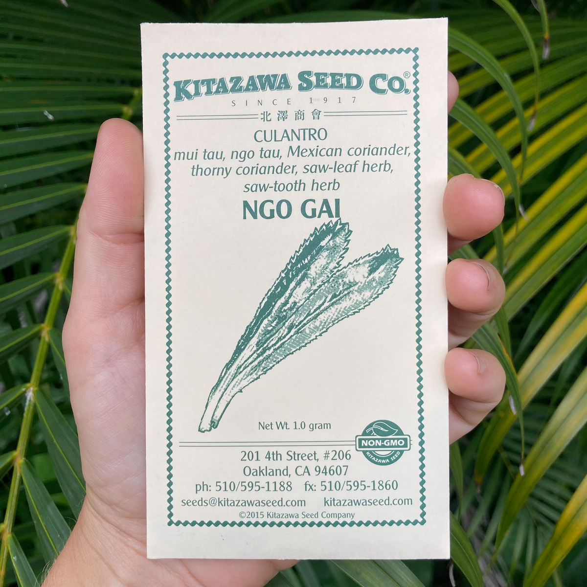 Culantro Seed Packet