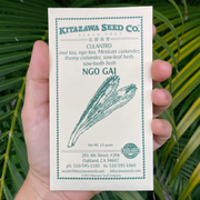Culantro Seed Packet