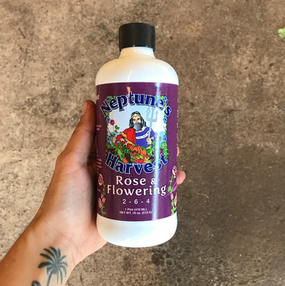 Neptunes Harvest Rose & Flowering blend, 2-6-4
