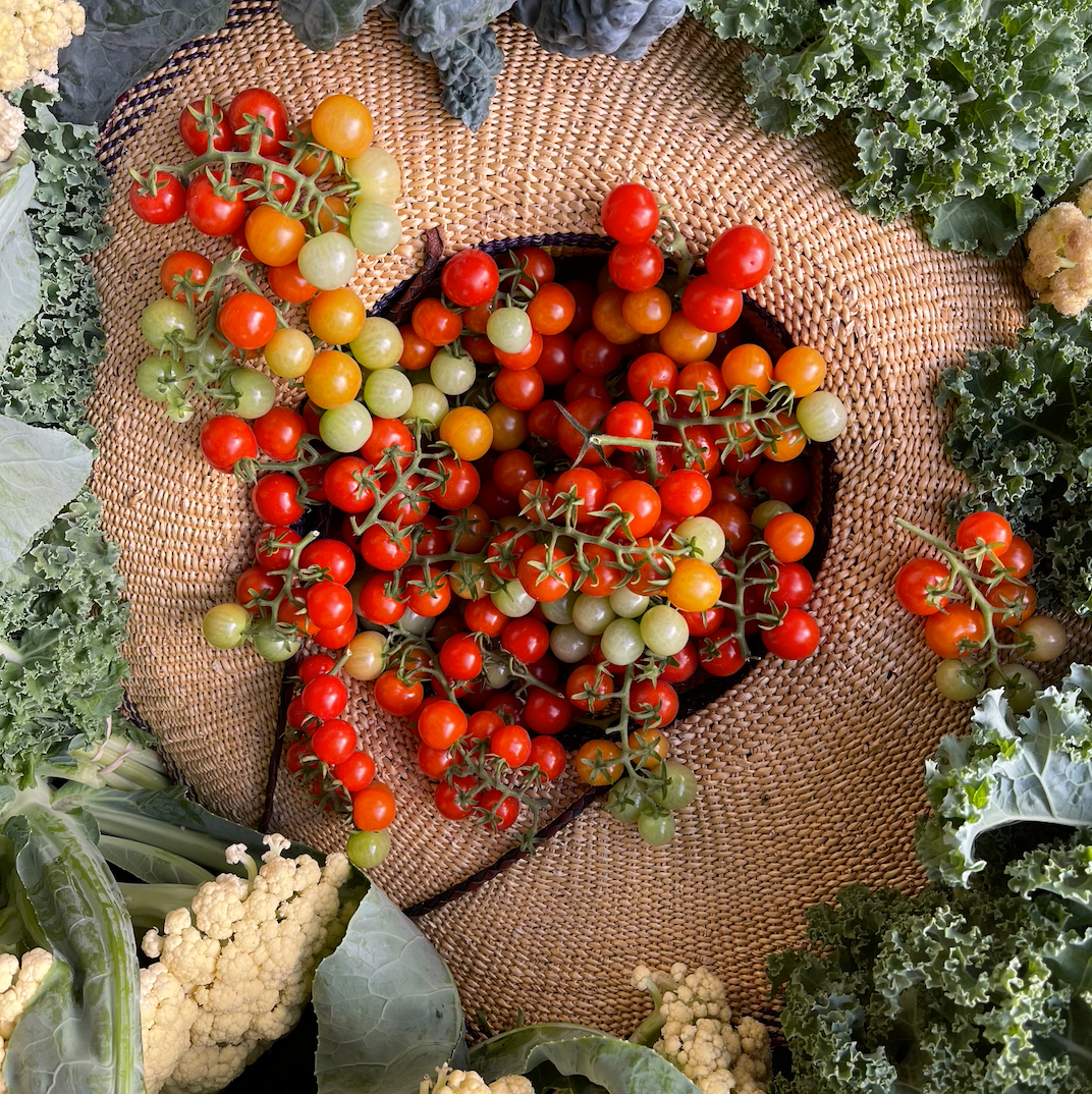 Tidy Treats Cherry Tomato