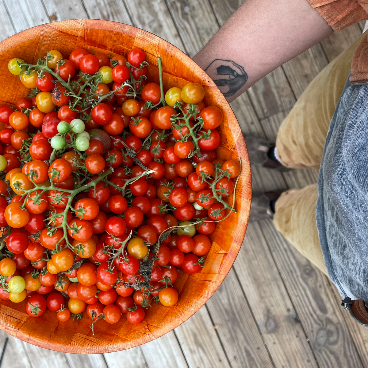 Tidy Treats Cherry Tomato