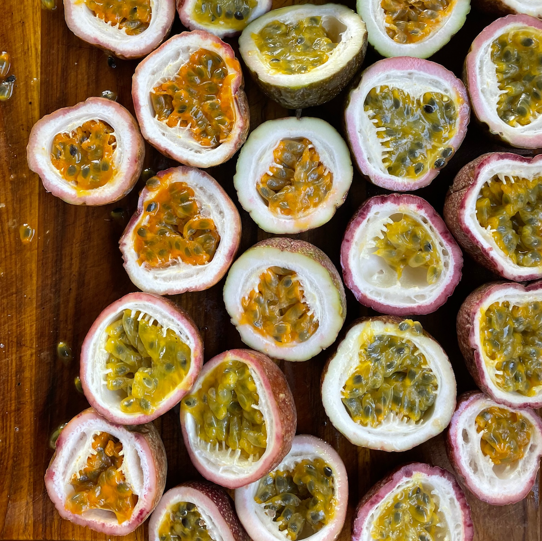 Purple Passionfruit Vine