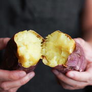 Tainung 65 Sweet Potato