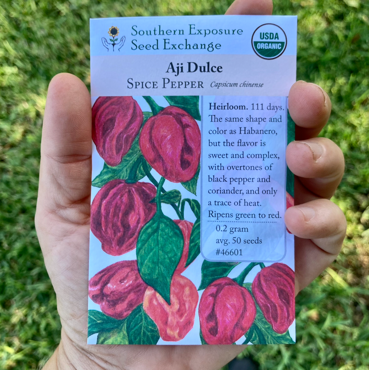 Aji Dulce Pepper Seeds