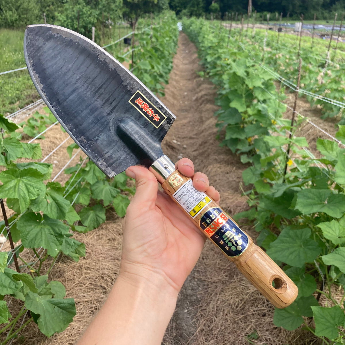 Short handled Japanese Hand Spade