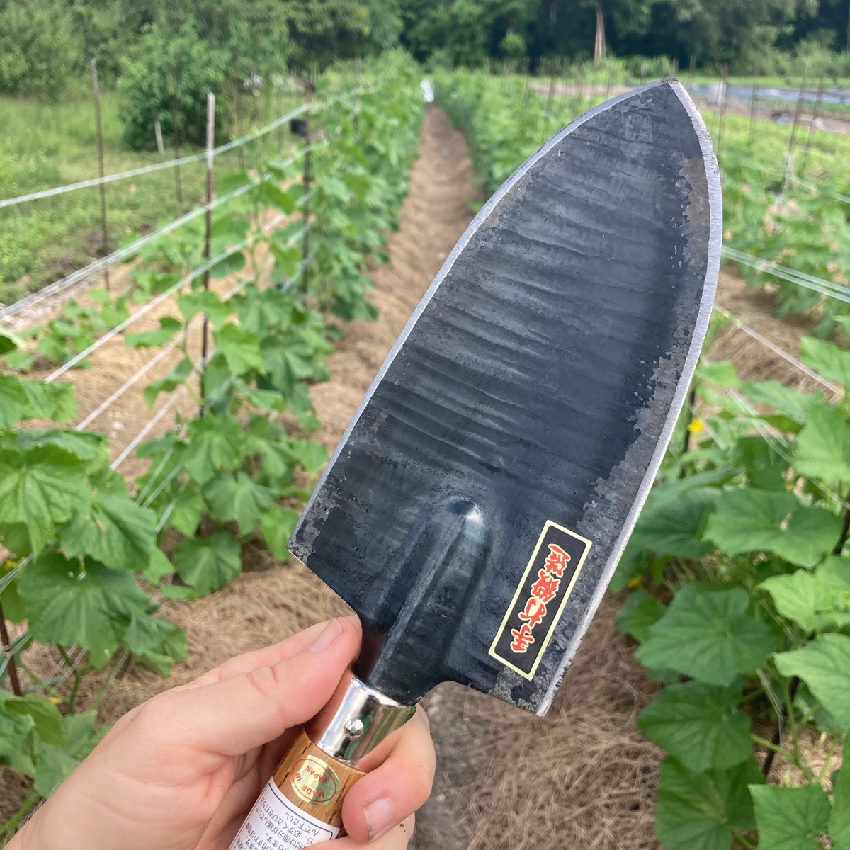 Short handled Japanese Hand Spade
