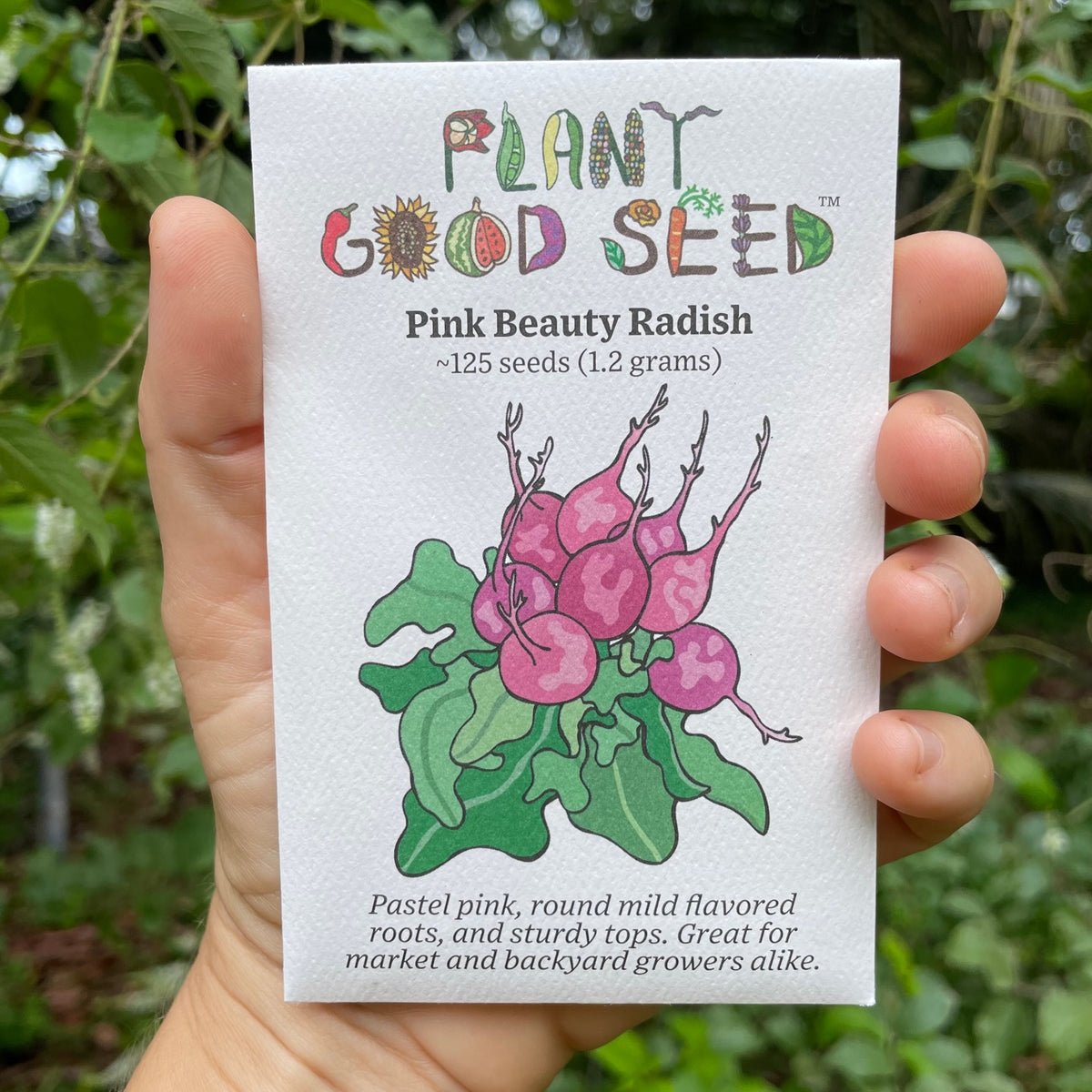 Pink Beauty Radish Seed Packet
