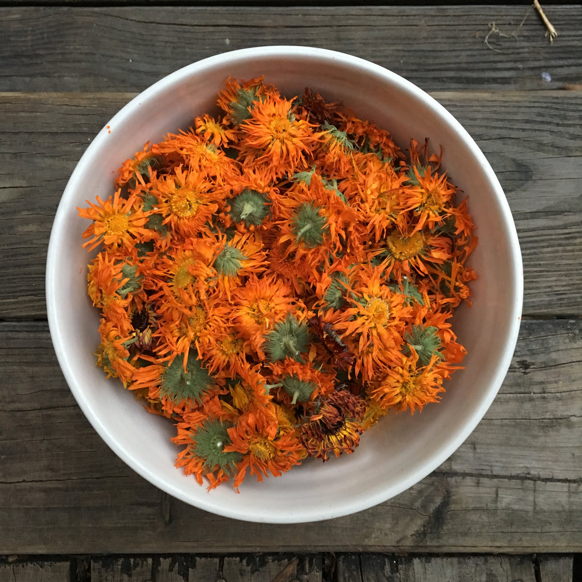 Resina Calendula